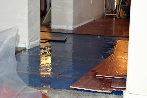 Professional Sewage Cleanup technician working in Schoolcraft, MI